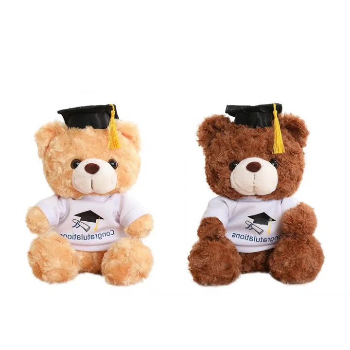 Graduation Teddy Bear 2022