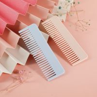 【CC】 New Plastic Comb Small To Carry Hair Tools Barber