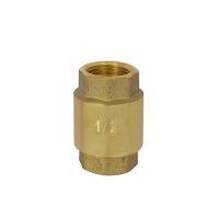 เช็ควาล์ว สปริง SANWA 1/2 นิ้ว SPRING CHECK VALVE SANWA 1/2"  [ส่งเร็วส่งไวทั่วไทย]