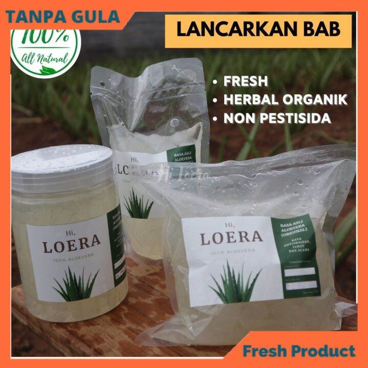 Lidah Buaya Aloevera Aloe Vera Kupas Obat Herbal Asam Lambung Maag Gerd ...