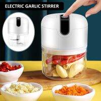 【CW】 L Electric Garlic Masher 250ml 5V 800mAh Small Rechargeable Reusable