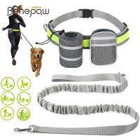 Benepaw Reflective Handsfree Dog Leash With Two Storage Bags Adjustable Waist Elastic Pet Running Leash For Medium Big Dogs Collars