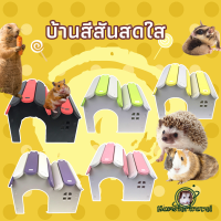 【hamstertravel】บ้านแฮมสเตอร์ Carno บ้านหลังคาโค้งชั้นเดียว สำหรับสัตว์เลี้ยง