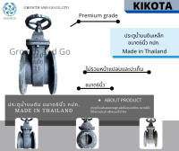 ประตูน้ำบนดินจนาด 6นิ้ว กปภ Made in Thailand