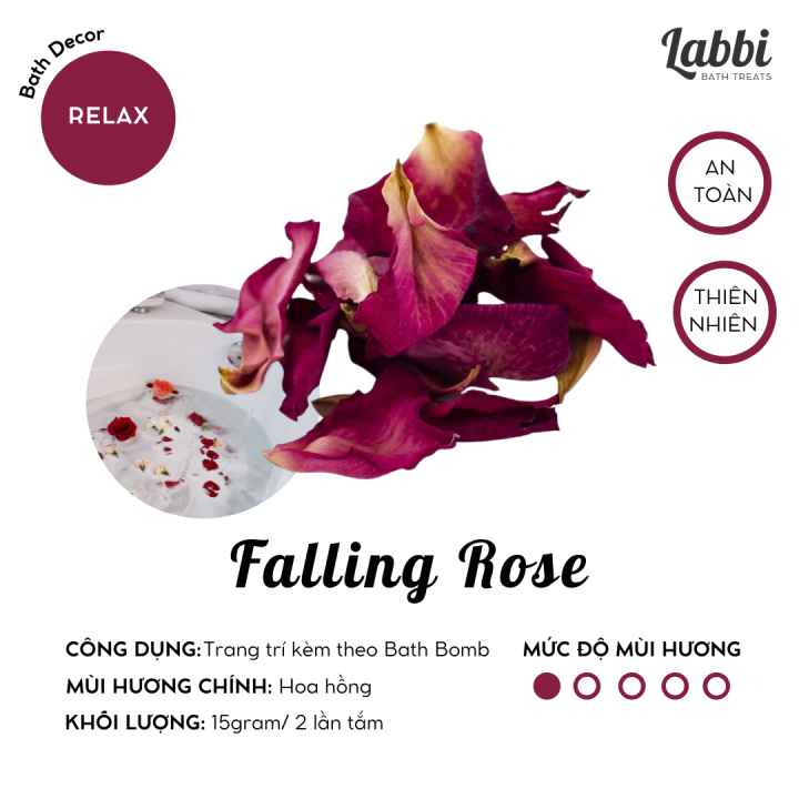 FALLING ROSE [Labbi] Hoa hồng sấy lạnh / Cánh hoa hồng khô / Hoa ...