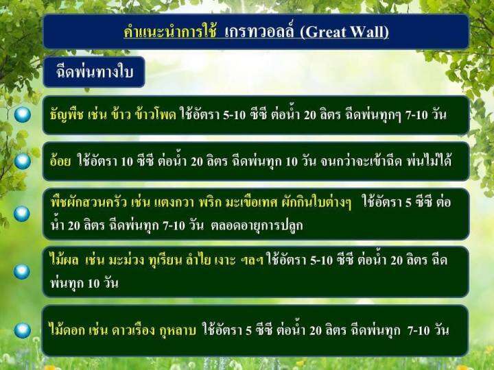 เกรทวอลล์-great-wall-ธาตุซิลิกอน-si-500cc