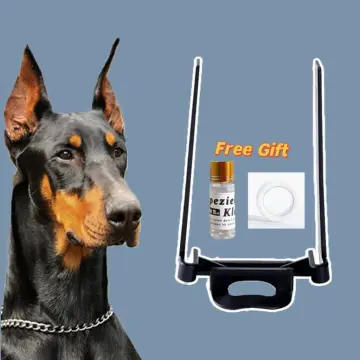 Doberman accessories clearance