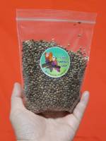 อาหารนกแก้ว ฮวยมั๊ว อาหารว่างนก เมล็ดฮวยมั้ว Hemp Seed เมล็ดพืช โปรตีนสูง ไขมันสูง # โปรพิเศษ # ขนาด 100g. #