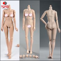 hot！【DT】◑♘  1/6 Female Suntan Figure Dolls 12  Middle Big Breasts Super Semi-Silicone 1:6 Sculpt