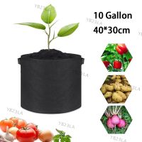 10 Gallon Fruit Plants Thicken Grow Bags Hand Held Home Garden Plant Growing Fabric Pot Vegetables Flower Garden ToolsYB23TH