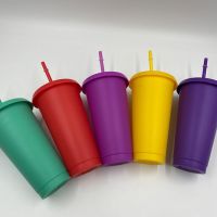 Fashion Christmas Straw Cup Festive Reusable Eco-friendly PP Solid Color Drinking Tumbler with Lid Straw Bottle for Home