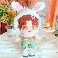 [COD] dry flower hat clothes 20cm fairy suit baby star doll dress up idol