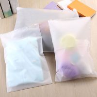 Portable Translucent Plastic Package Cloth Travel Storage Pouch Waterproof Bag Zip Suitcase Cloth Organizer Packaging Bags