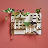 Flower Pot Decoration 7 Cuvettes Wooden Stand Hanging Propagation Vase Wall-mounted Home Garden Hydroponic Planter Plant