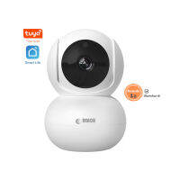 IP Camera model X10  กล้องวงจรปิด ยี่ห้อ Reach