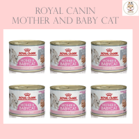 [6กระป๋อง] Royal canin mother &amp; babycat 195g สำหรับลูกแมวและแม่แมวตั้งท้องหรือให้นม