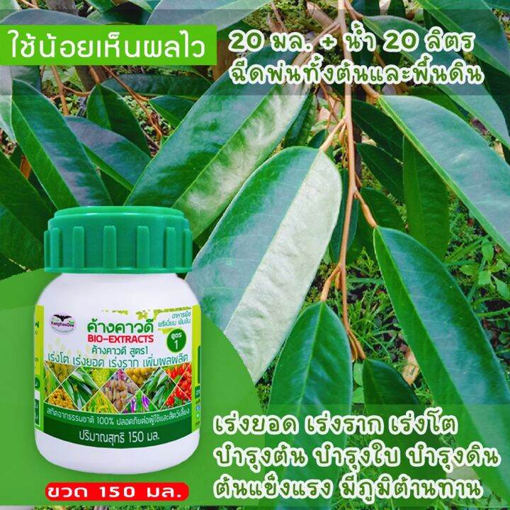 พืชใบเหลือง-ไม่โตไม่แตกยอด-ฟื้นบำรุงต้นใบราก-เร่งโตไว-เร่งแตกยอด-ขยายลำต้น-ติดดอกติดผลดก-ปุ๋ยน้ำทางใบ-ค้างคาวดี-สูตร1-150มล