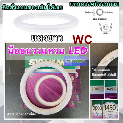 หลอดซาลาเปา หลอดนีออนกลม  หลอดไฟวงแหวน  หลอดไฟ Daylight นีออนกลม LED 20W มาพร้อมใช้ สตาร์เตอร์ใส่ติดทันที่ แสงขาว 6500K (ไส้ในโคมซาเปา)