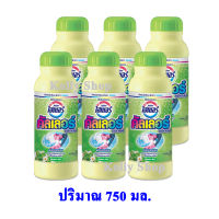 Haiter ไฮเตอร์คัลเลอร์ ผลิตพภัณฑ์ขจัดคราบชนิดผง 750 มล.  ( 6 ขวด )