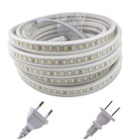 220V LED Strip Waterproof IP67 SMD5730 120Leds/m Warm White 220 V LED Strip Light Waterproof Diode Tape Kitchen Living Room Lamp