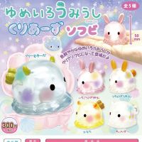 Colorful Transparent Cute Manatee Sea Cows Animal Model Ornaments Twisted Eggs Gachapon Toys Japan Original AMUSE Gashapon