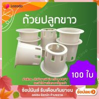 ถ้วยปลูกผักไฮโดรโปนิกส์สีขาว 1 ชุด จำนวน 100 ใบ by hydroponicgroup