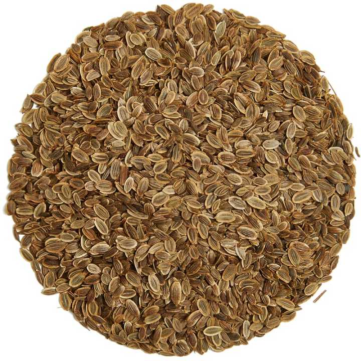 dill-seeds-เมล็ดผักชีลาว-100-grams-to-1000-grams