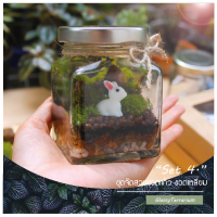 ชุดจัดสวนขวดแก้ว ทรงเหลี่ยม  Terrarium Set 4 ชุดจัดสวนขวด ครบเซ็ต พร้อมส่ง