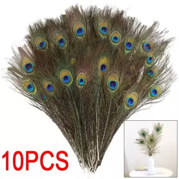 Lots 10~100PCS Natural Real Peacock Tail Eye Feathers DIY Feather House  Decor @