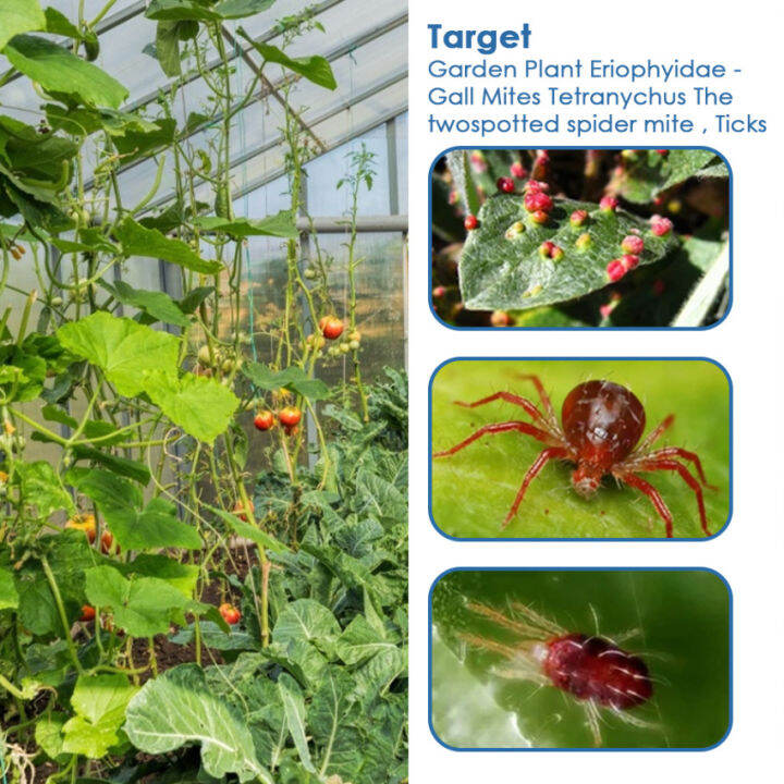 5 G Bifenazate & Etoxazole Acaricide Insecticide Kill Mites & Ticks Red