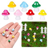 【cw】 Garden Decoration Photo Props Accessories Color Microlandschaft Potted Ornaments Landscape