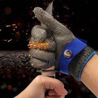 Stainless Steel Gloves Anti-cut Safety Wear-resistant Hand Protective Metal Meat Mesh Glove For Butcher Home And Garden Kitchen