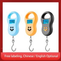 50kg Portable Mini Digital Display Electronic Scales with Backlight Household Luggage Weighting Tool Hanging Scale for Fishing