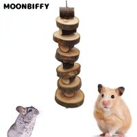 Pet Wooden Tooth Grinding Toy Small Animal Hamster Rabbit Tree Branch Teeth Chewing Toy for Chinchilla Guinea pig Cage Accessory