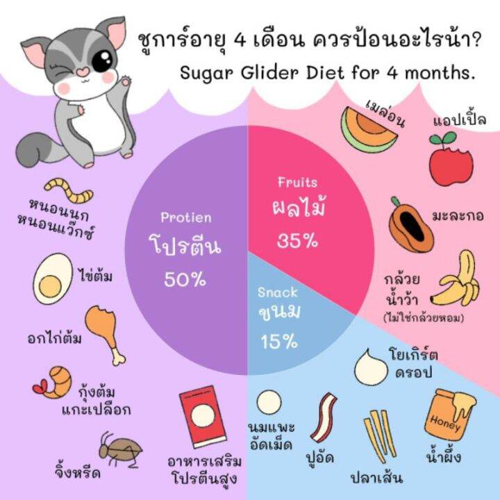 อาหารชูก้าร์สูตรโต-4เดือนขึ้นไปsugarglider-meal-for-over-4-months-100g-อาหารเสริมสำเร็จรูปสำหรับชูก้าร์ไกลเดอร์โดยเฉพาะ