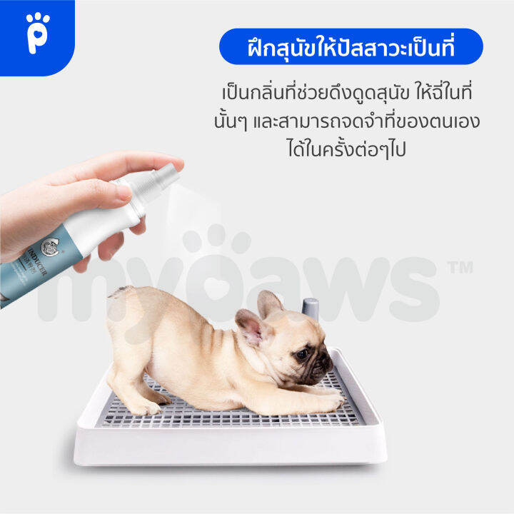 my-paws-สเปรย์ฝึกขับถ่ายสุนัข-c-สเปรย์ฝึกหมาฉี่-ป้องกันการขับถ่ายและฉี่ไม่เป็นที่