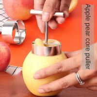 Apple Pear Core Coring Cutter Stainless Steel Fruit Core Pitter Remover Separator for Kitchen Accessories Gadgets Graters  Peelers Slicers