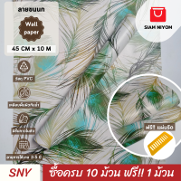 Siam Niyom สยามนิยม วอลเปเปอร์ติดผนัง ลายขนนก วอลเปเปอร์ วอลเปเปอร์ผนัง wallpaper ติดผนัง wallpaper wallpaper ติดผนังปูน วอลเปเปอร์ ติด ผนัง