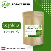 ลูกใต้ใบ ผง 50 กรัม เกรดA ลูกใต้ใบ100% Seed-under-leaf