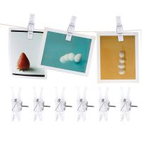 Pack of 50 Clear Decorative Thumb Tacks Photo Clip-shaped Push Pins 2-in-1 Metal Push Pin Thumb Tack for DIY Decor