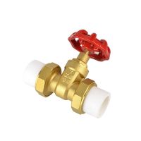 PPR Hot Melt Gate Valve Brass PPR20/25/32/40/50/63 Tap Water Pipe Switch Pipe Fittings Accessories