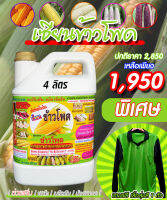 พร้อมส่ง!! เซียนข้าวโพด ขนาด 4ลิตร แถมทันที เสื้อ 1ตัว ยาฉีดข้าวโพด ฮอร์โมนข้าวโพด ปุ๋ยทางใบ สาหร่าย อะมิโน เร่งฝัก อาหารเสริมพืช