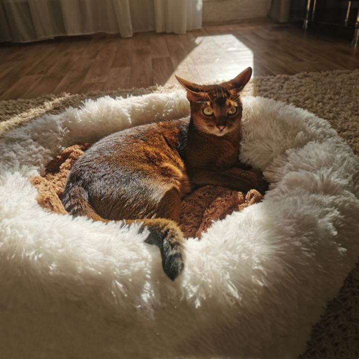 pets-baby-super-soft-dog-bed-plush-cat-mat-เตียงสุนัขสำหรับสุนัขขนาดใหญ่เตียง-labradorsround-cushion-pet-product-accessories