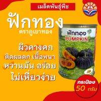 ส่งไว! เมล็ดฟักทอง ผิวคางคก เนื้อหนา ผลดก หวานมัน ตราภูเขาทอง ขนาด50กรัม