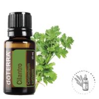 น้ำมันผักชี น้ำมันสกัดจากใบผักชี น้ำมันหอมระเหย cilantro essential oil น้ำมันหอมระเหยผักชี ผักชี