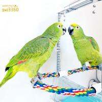 นกแก้ว GWJ3360เลิฟเบิร์ด Conure อุปกรณ์เสริมกรง Parakeet พร้อมเชือกแกว่งคอนเกาะกระจกสำหรับนกแก้วของเล่น