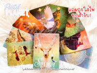 [พร้อมส่ง??] แถมคู่มือไทย/อังกฤษ The Spirit Animal Oracle ไพ่ยิปซี ไพ่ทาโรต์ ไพ่ออราเคิล