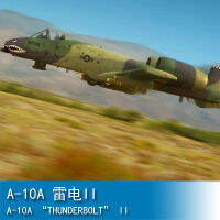 งานอดิเรกของเจ้านายRaiden II 1/48เป่าแตรA-10A 80323