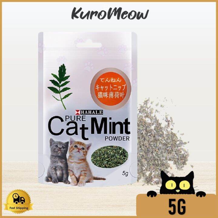 Hahale Pure Cat Mint Powder 5G Cat Snacks / Cat Treat / Cat Snack / Makanan Kucing / Catnip
