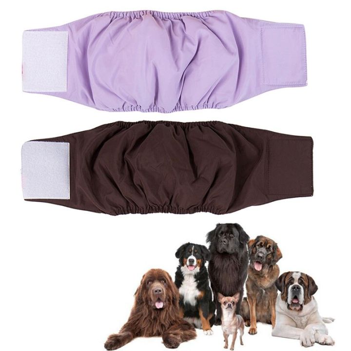 กางเกงสรีรวิทยาผ้าอ้อมสัตว์เลี้ยงสุนัขตัวผู้ใช้ซ้ำได้-tue88กางเกงขาสั้นกันน้ำระบายอากาศได้ดี